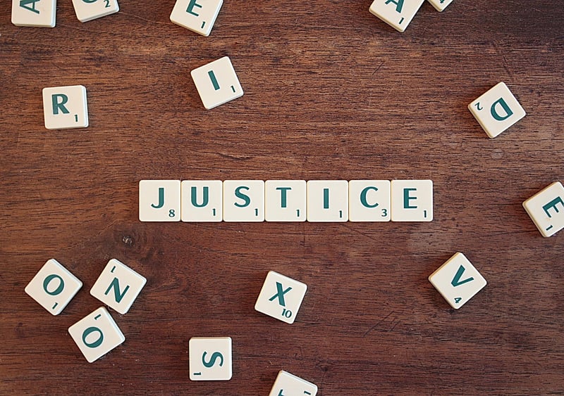 Social Justice Lawyer